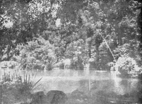 Laguna del Parque de Lota con sus surtidores. Fotografía de Vargas Rosas